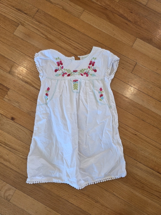 Garnet Hill Other - Garnet Hill Kids Lined Embroidered Dress